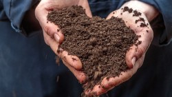 KMC begins composting biodegradable waste