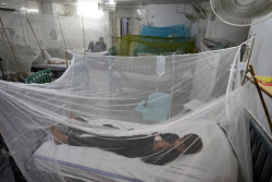Spurt in dengue cases mounts pressure on health-care system