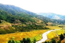 Photos from around Nepal