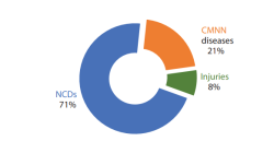 Top 10 causes of death in Nepal (Part I)