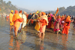 Maghe Sankranti begins with raising of sacred pole at Devghat