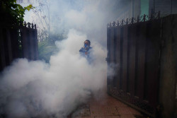 Doctors urge public to act proactively to fight dengue