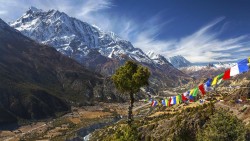 Annapurna Region's foot trails lose their charm as motorways take over