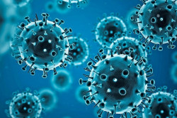 324 new cases of coronavirus reported 