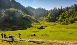 Why walking through the countryside ‘tames’ our brain