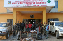 Nepali Army, Parsa Park joint team nabs five suspected poachers