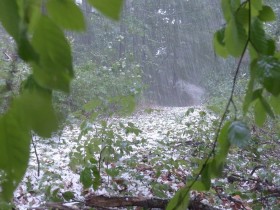 Wet weather expected to improve Wednesday onwards