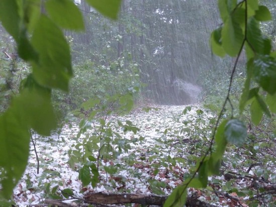 Wet weather expected to improve Wednesday onwards
