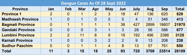 Spurt in dengue cases mounts pressure on health-care system - Sabitri ...