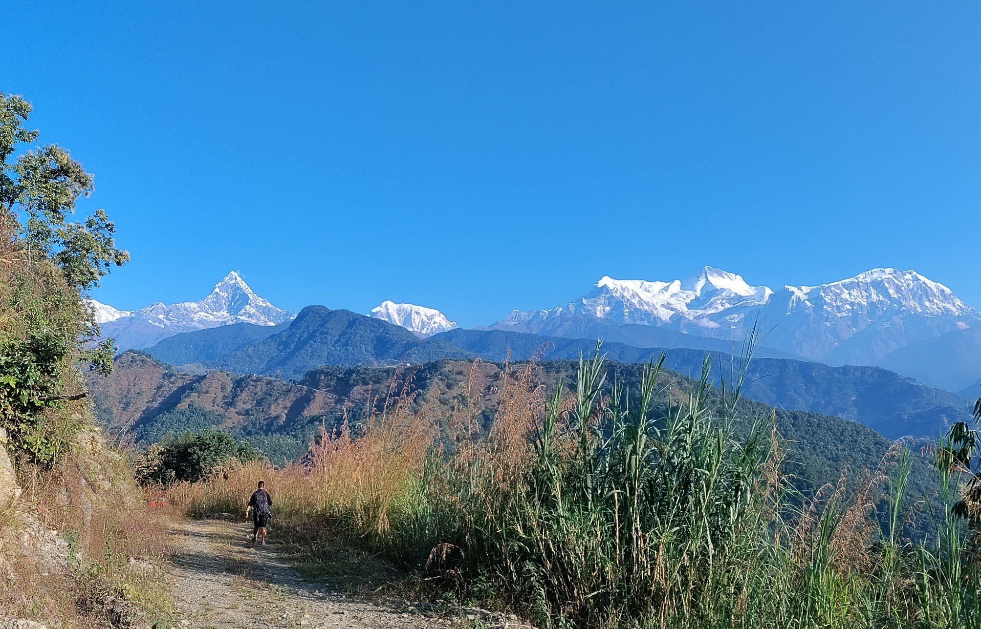 Machhapuchhre1699109618.jpg