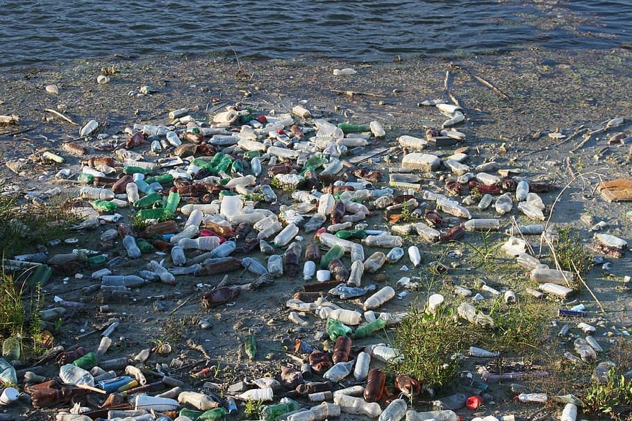bottles-dump-floating-garbage1679650625.jpg